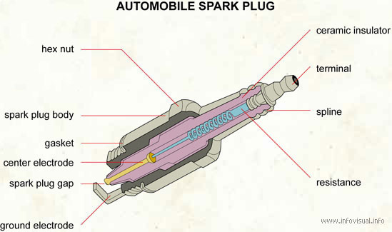 Automobile spark plug  (Visual Dictionary)
